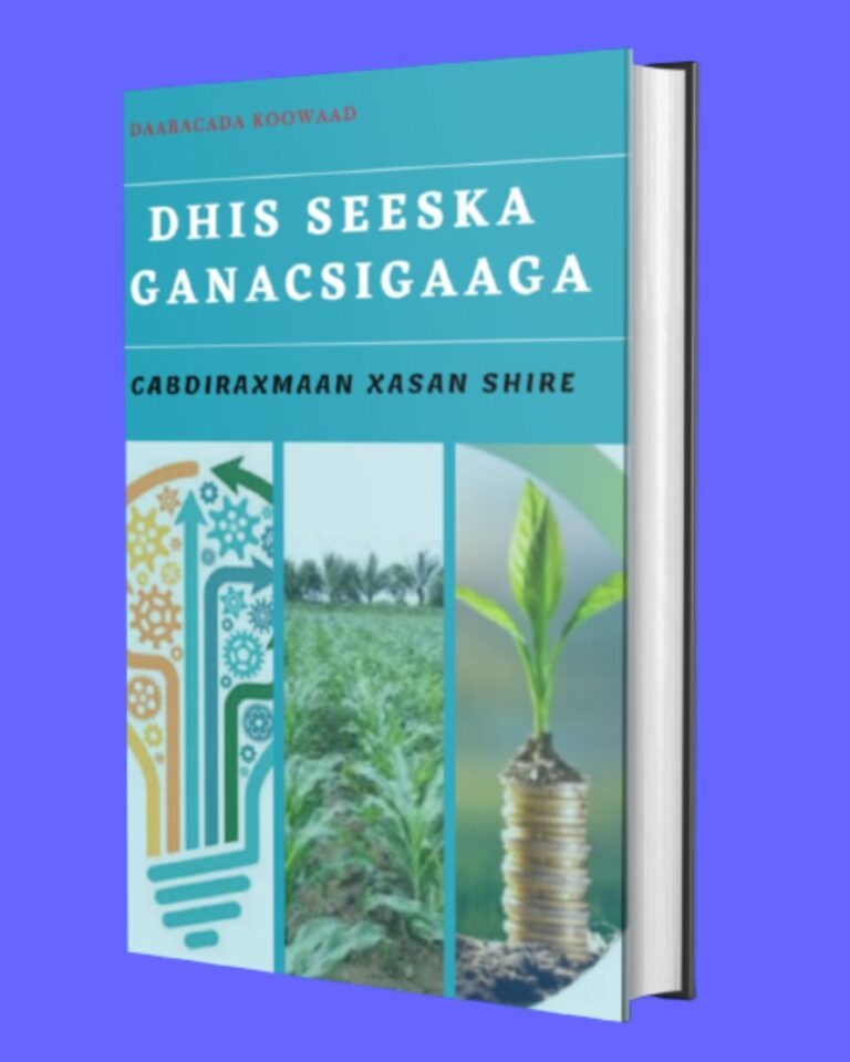 Dhis seeska ganacsigaaga