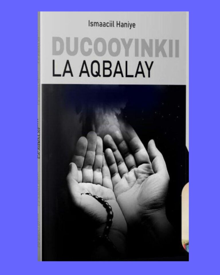 Ducooyinki la aqbalay