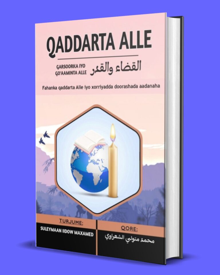 Qadarta Alle