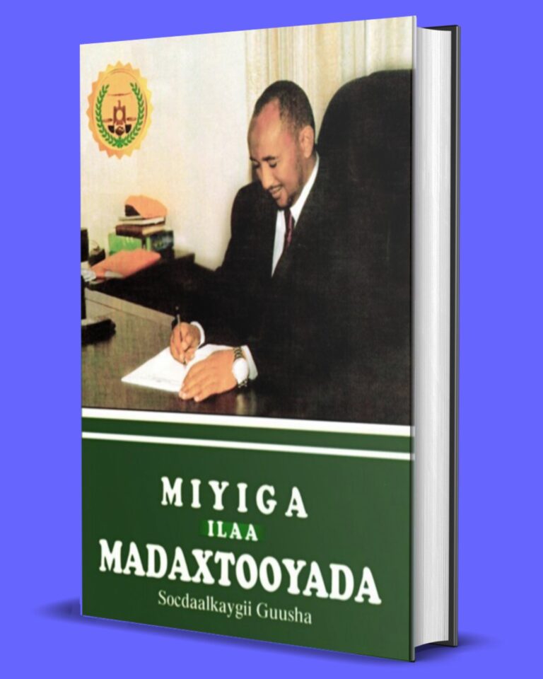 Miyiga ilaa madaxtoyada