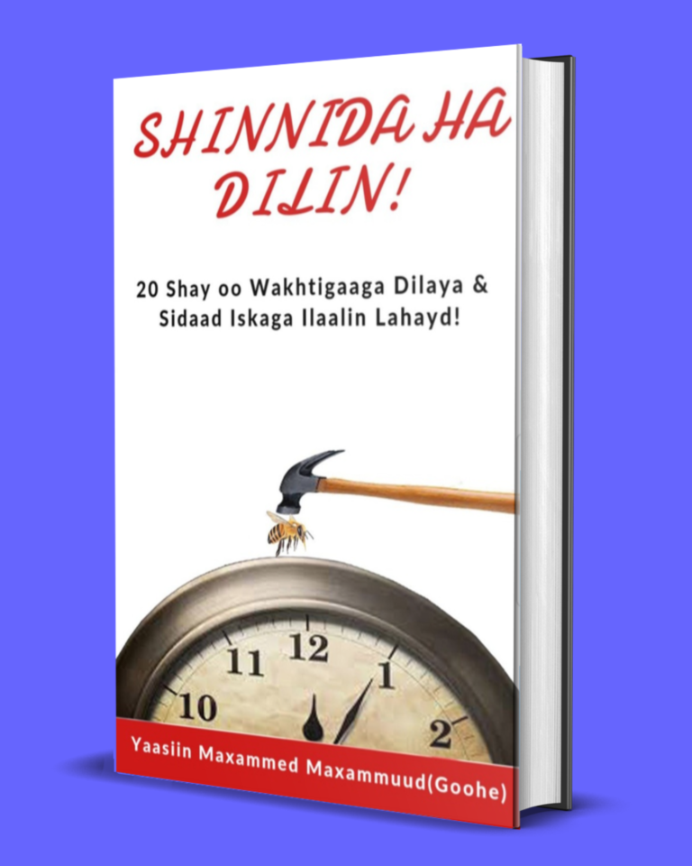 Shinida ha dilin