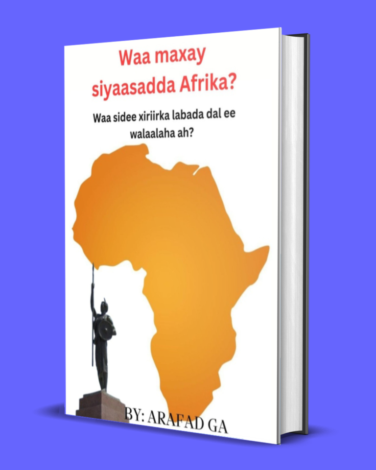 Waa maxay siyaasada Afrika