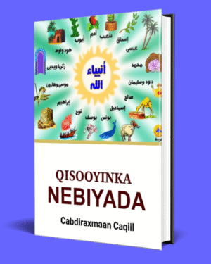 QISOOYINKA NABIYADA PDF