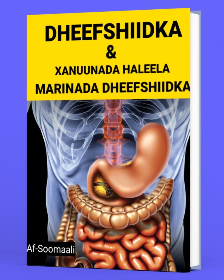 Dheefshiidka